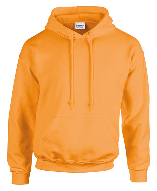 CORE COLLECTION HOODIE